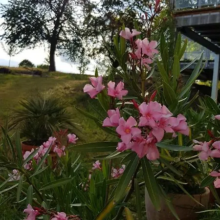 アパート Gut Belgerhof Steinbach