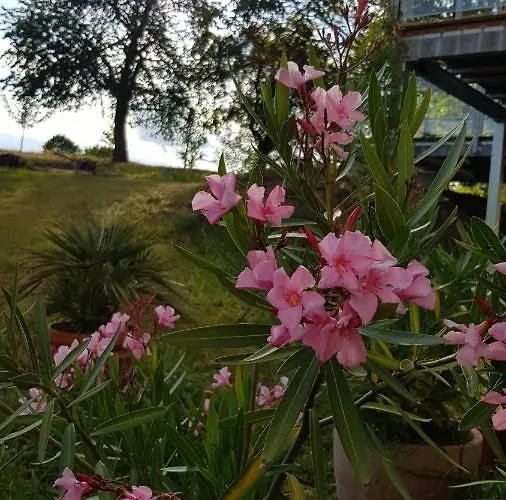 아파트 Gut Belgerhof Steinbach