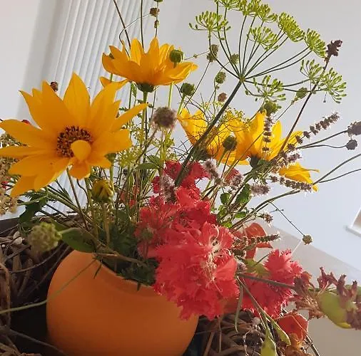 Gut Belgerhof Steinbach 아파트