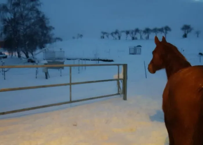 Gut Belgerhof Steinbach 아파트 *